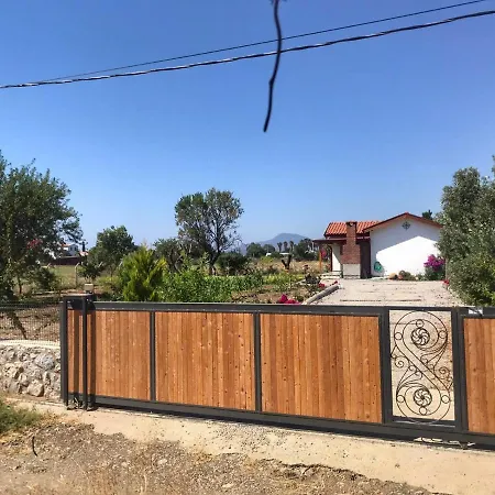Palaemon * Datça