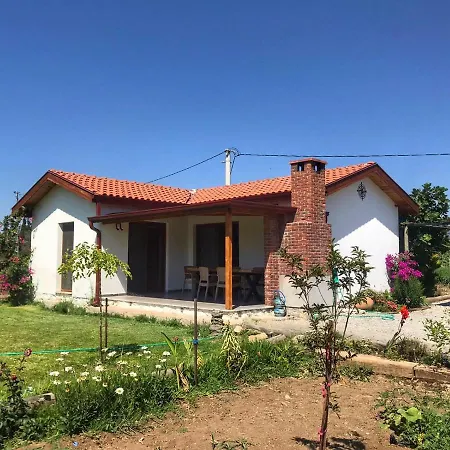 Palaemon Vila