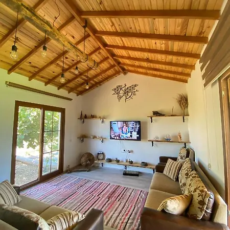 Vila Palaemon Datça